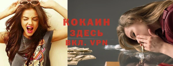 эйфоретик Вяземский