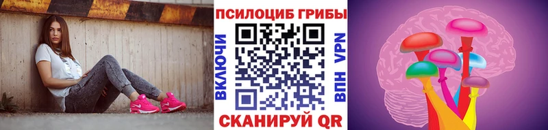 Псилоцибиновые грибы GOLDEN TEACHER  Купить закладки  Карабулак 